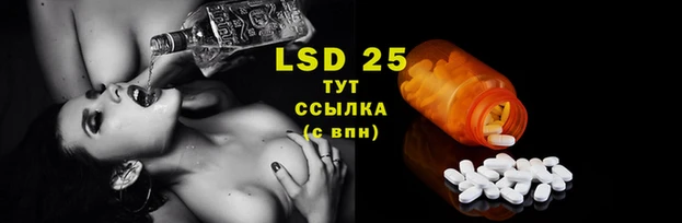 трава Иннополис