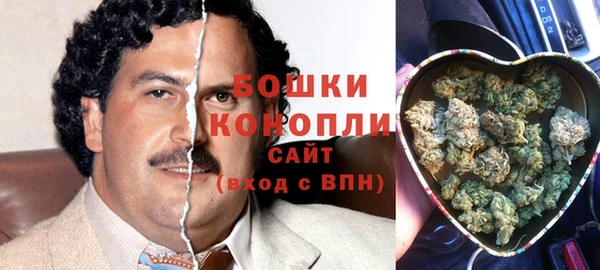 трава Иннополис