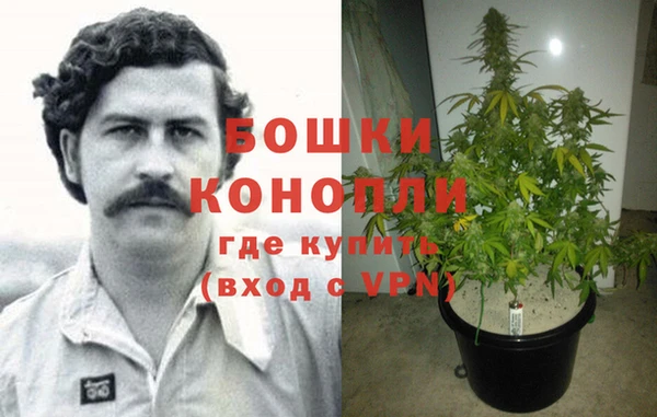 трава Иннополис