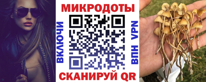 Галлюциногенные грибы Cubensis  Углегорск 
